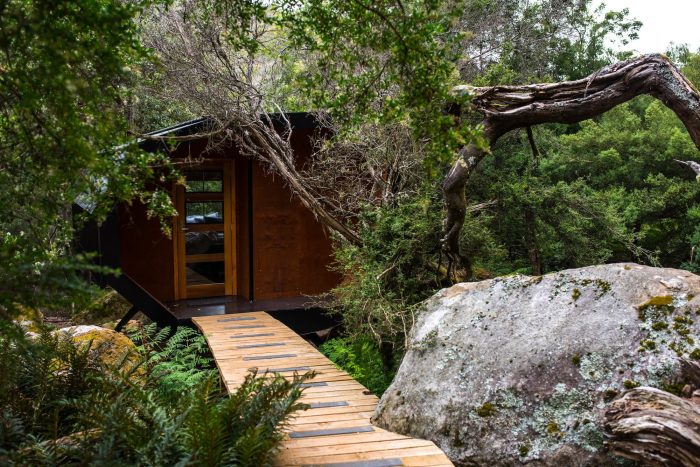 Ecotourism jungle campers participate mail twitter